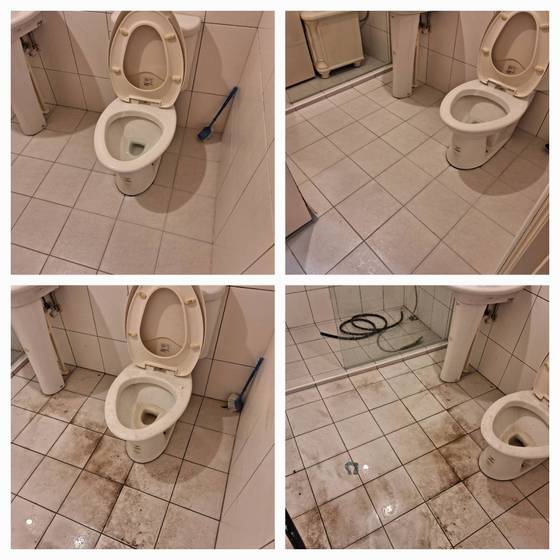 �y�������C��M��
